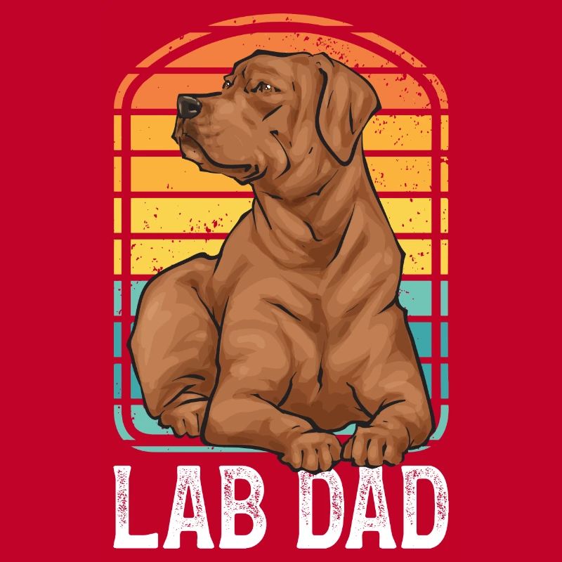 Fuchsroter Labrador Retriever Fox Red Labrador