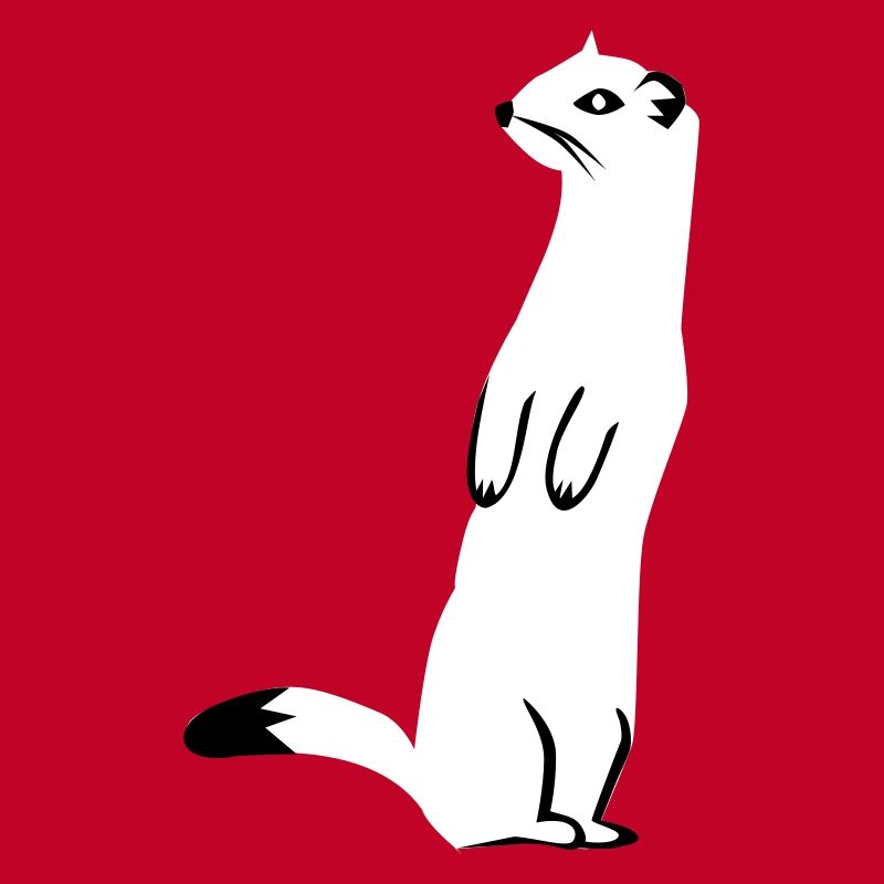 Weasel - Ermine