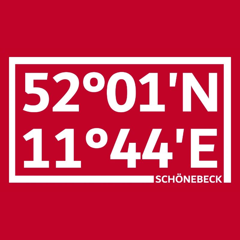 Schönebeck coordinates