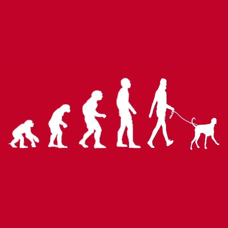 Hundehalter Hund Evolution