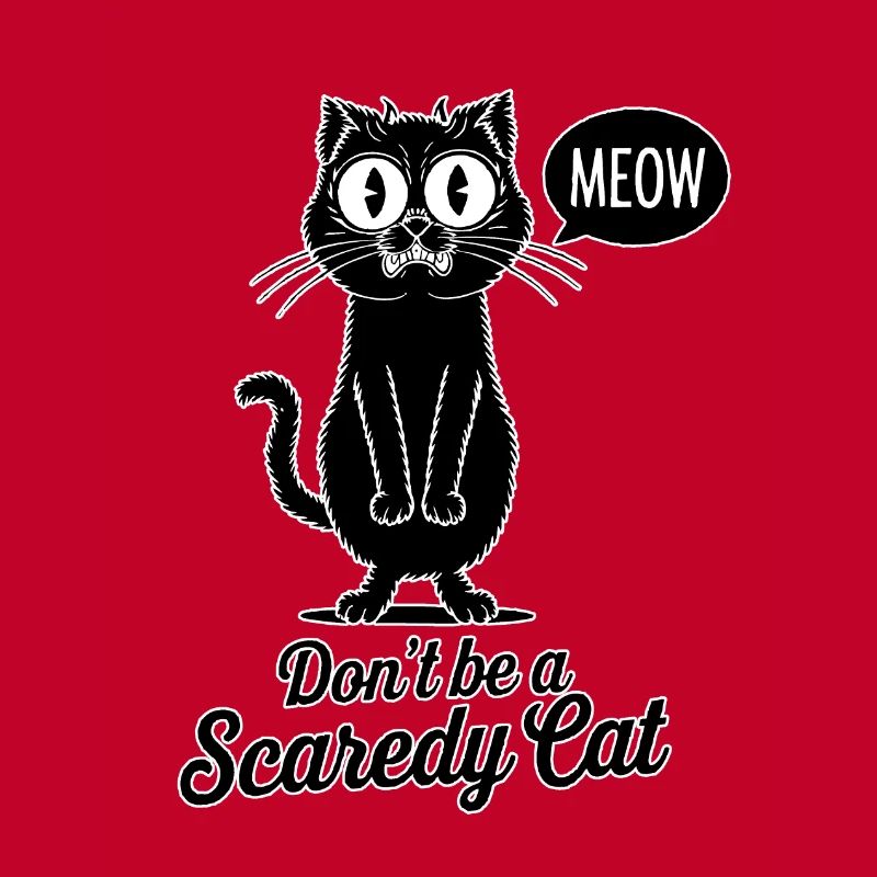 Ne soyez pas un chat effrayé