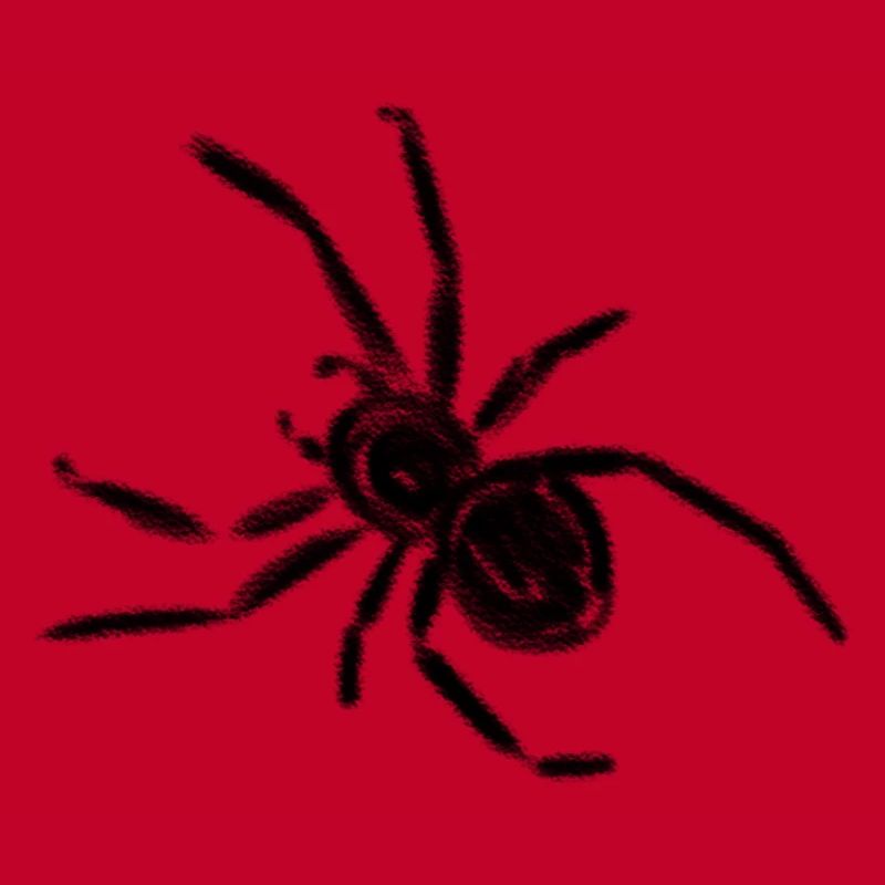 Araignée
