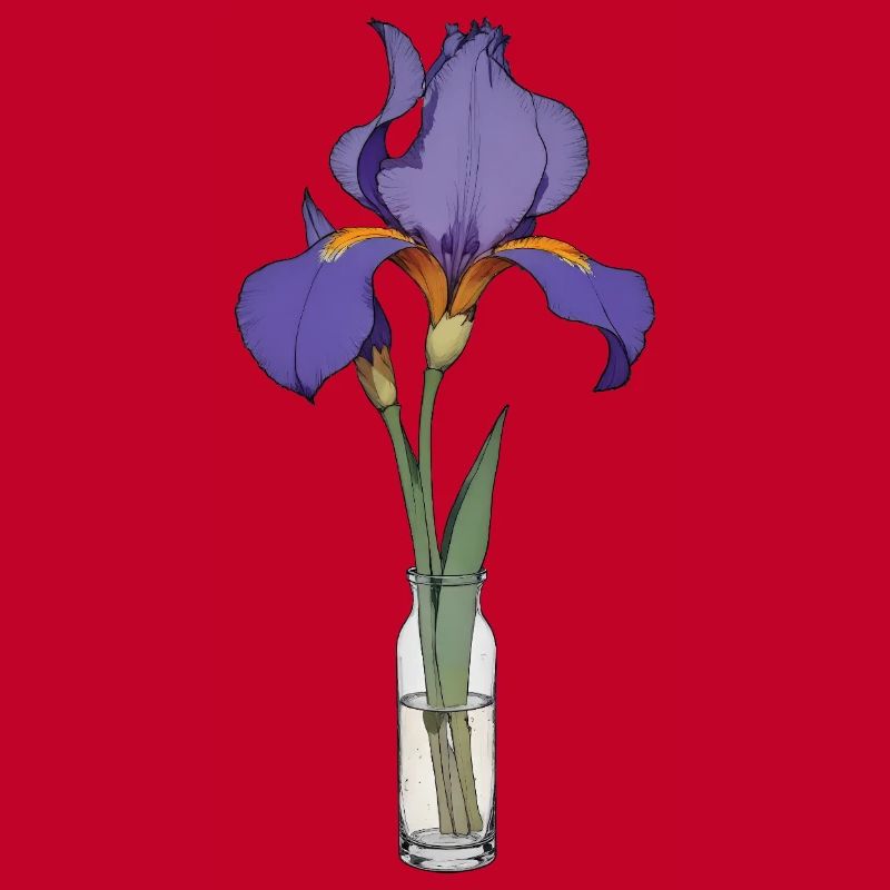 Iris