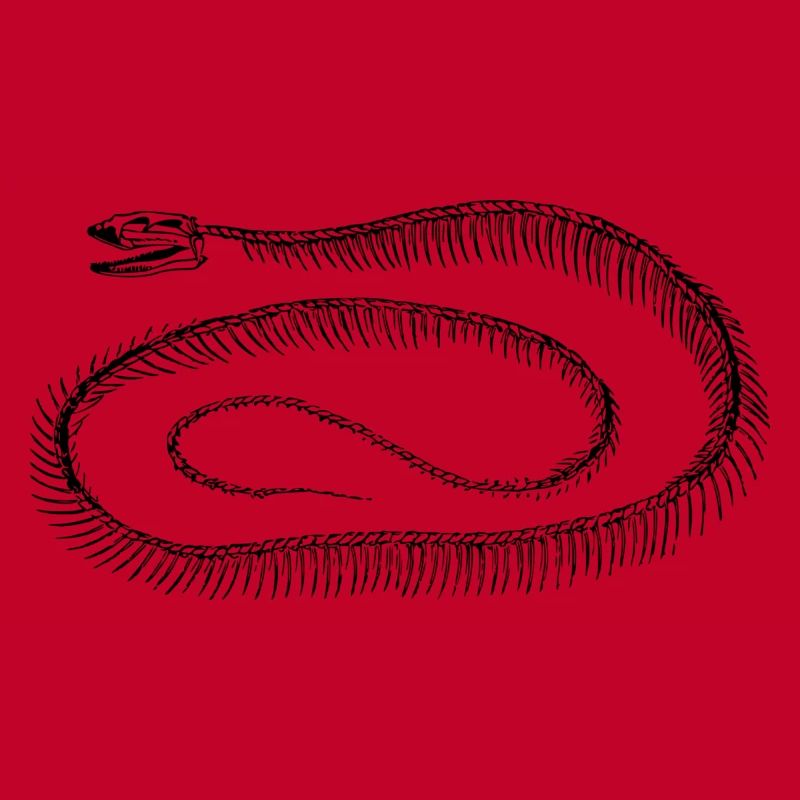 squelette reptile