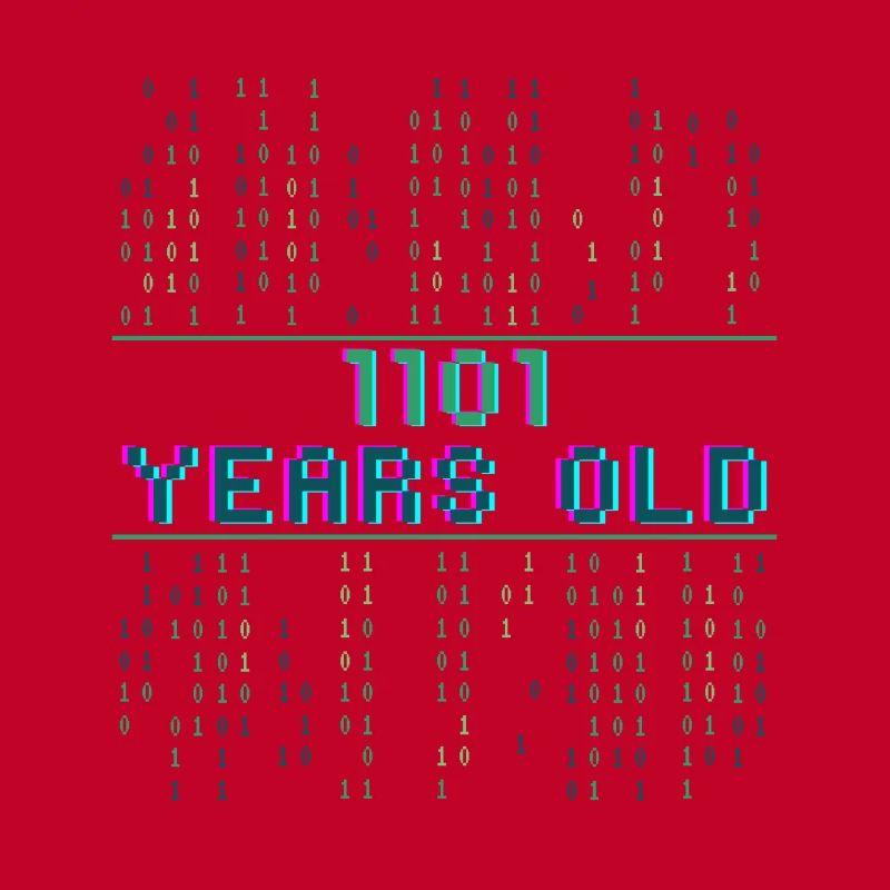 13th Birthday 13 Year Old Binary Code Coder