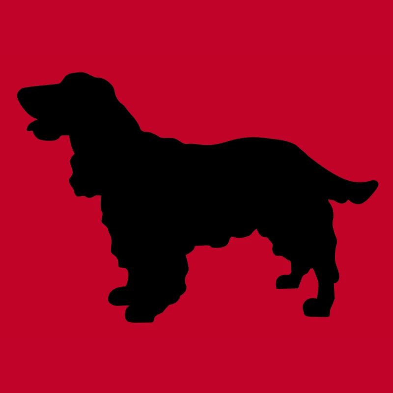 Cocker Spaniel dog