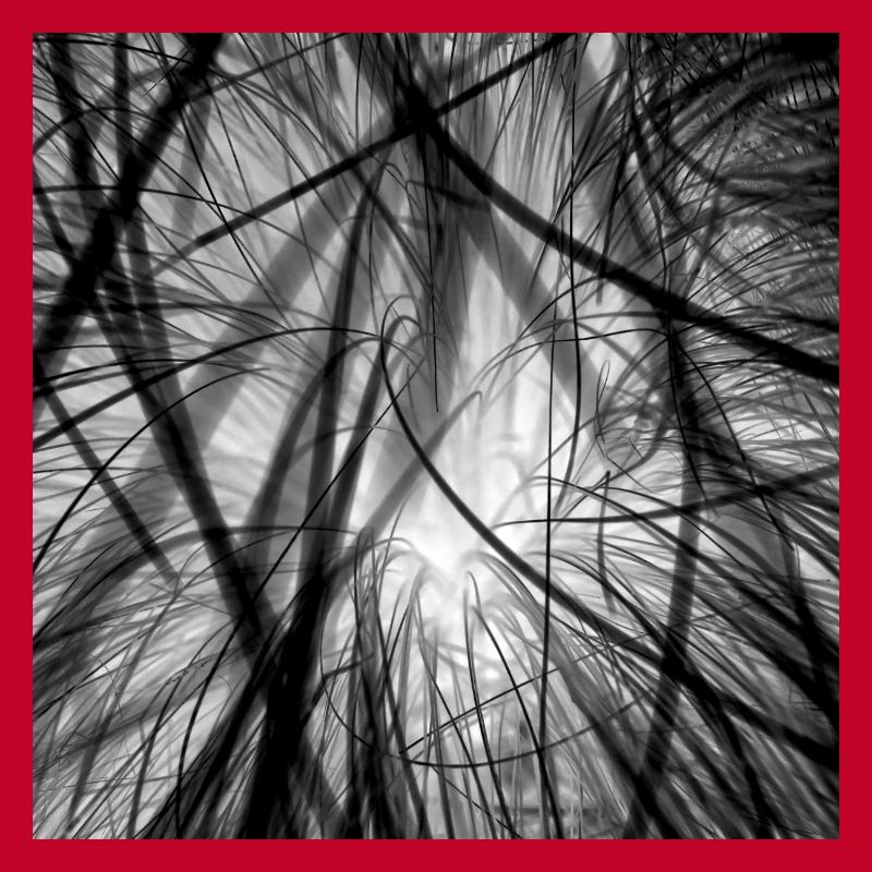 Cable clutter black and white