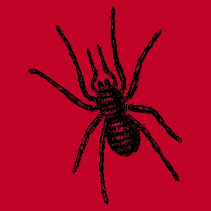 Une grosse araignée rampe au-dessus de vous
