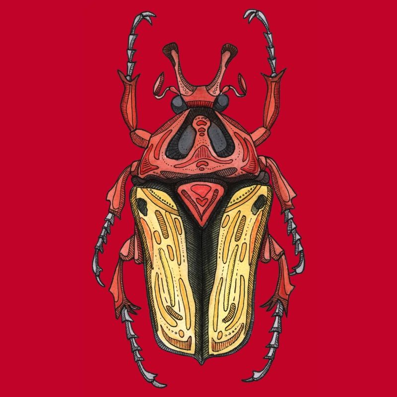 Big Beetle Stag - cerf géant