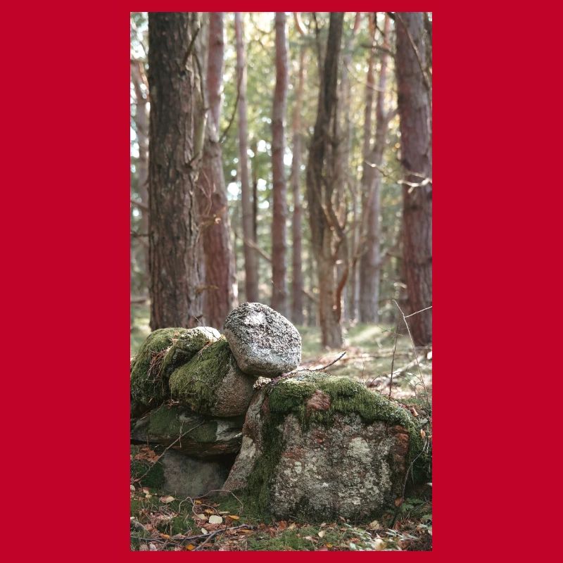 foresta