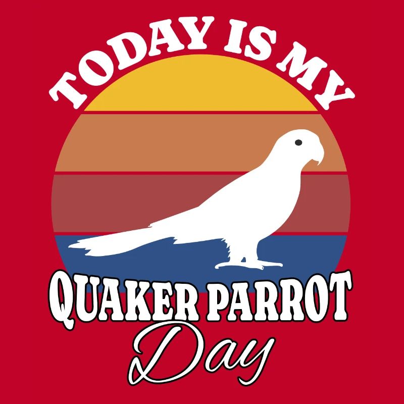 Perruche moine Perroquet Quaker