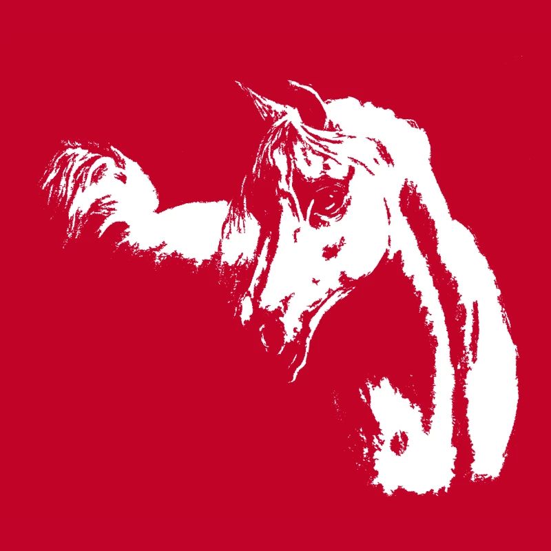 Cheval arabe