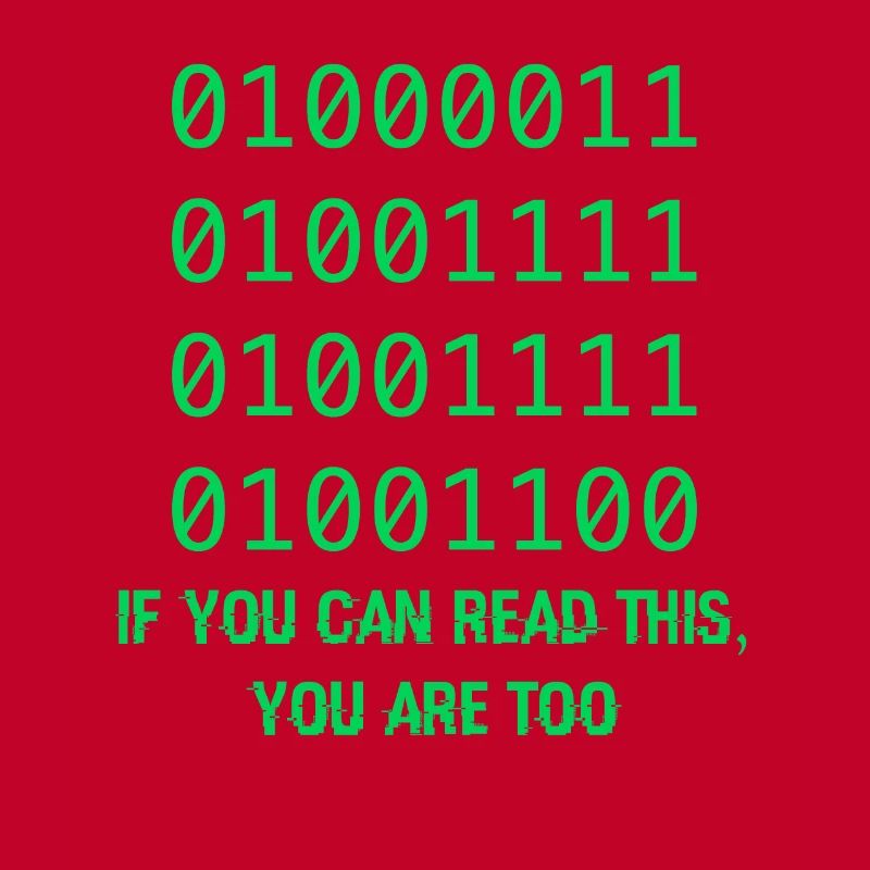Computer Binary Code Developers Gift