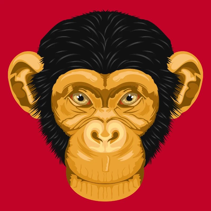 Monkey Chimpanzee Monkey