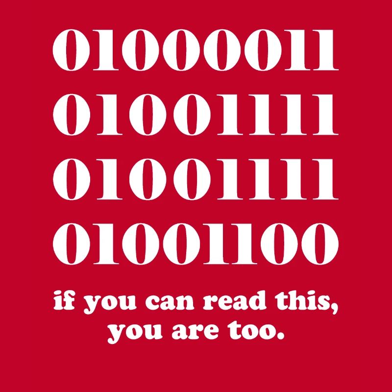 Computer binary code developers gift