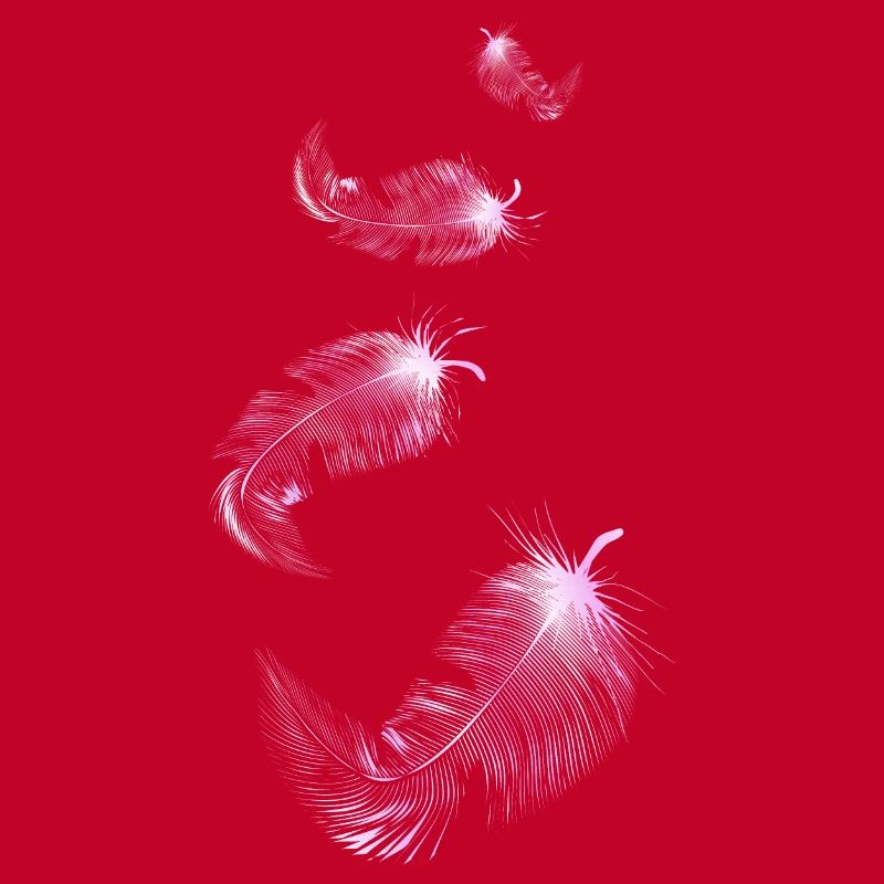 four soft pink feathers