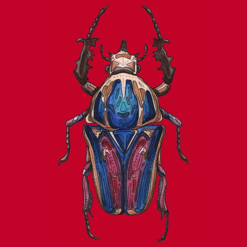 Big Beetle Stag - cerf géant