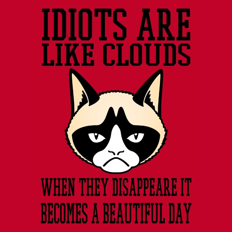 grumpy cat Idiots like clouds