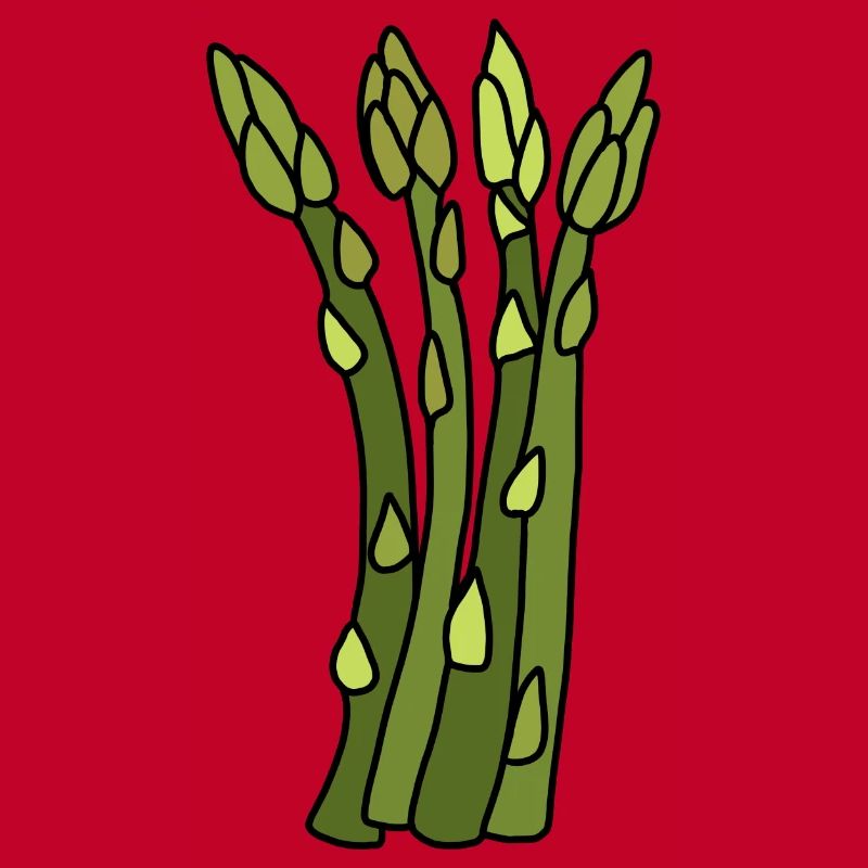 Spargel Zeit