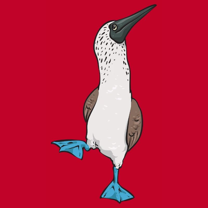 Blue-footed Booby Seabird Blue-footed Booby Seabird