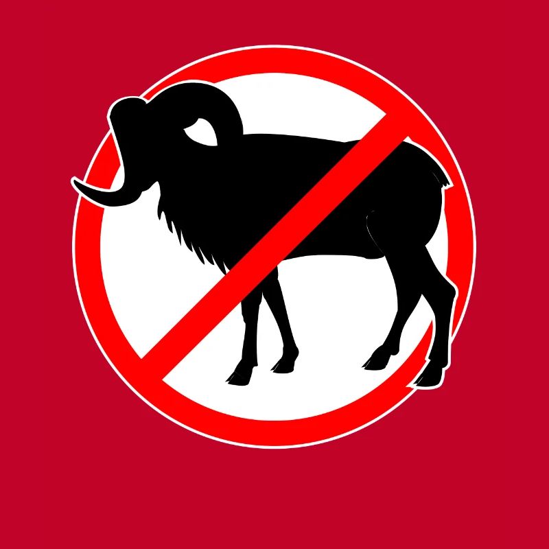 Chèvres ou mouflons interdits - chèvre