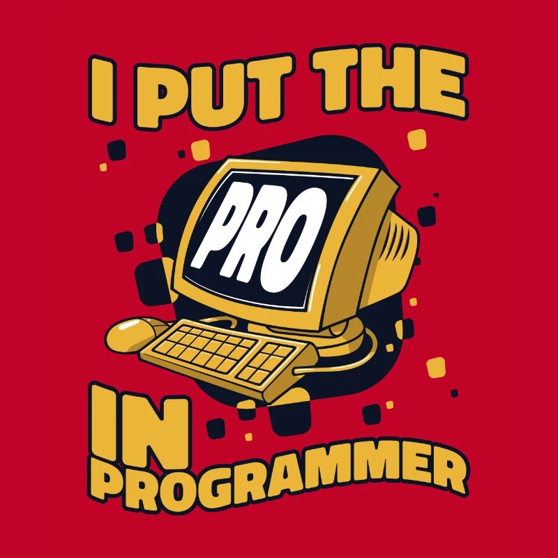 J’ai mis le pro dans Programmeur Developer Coder