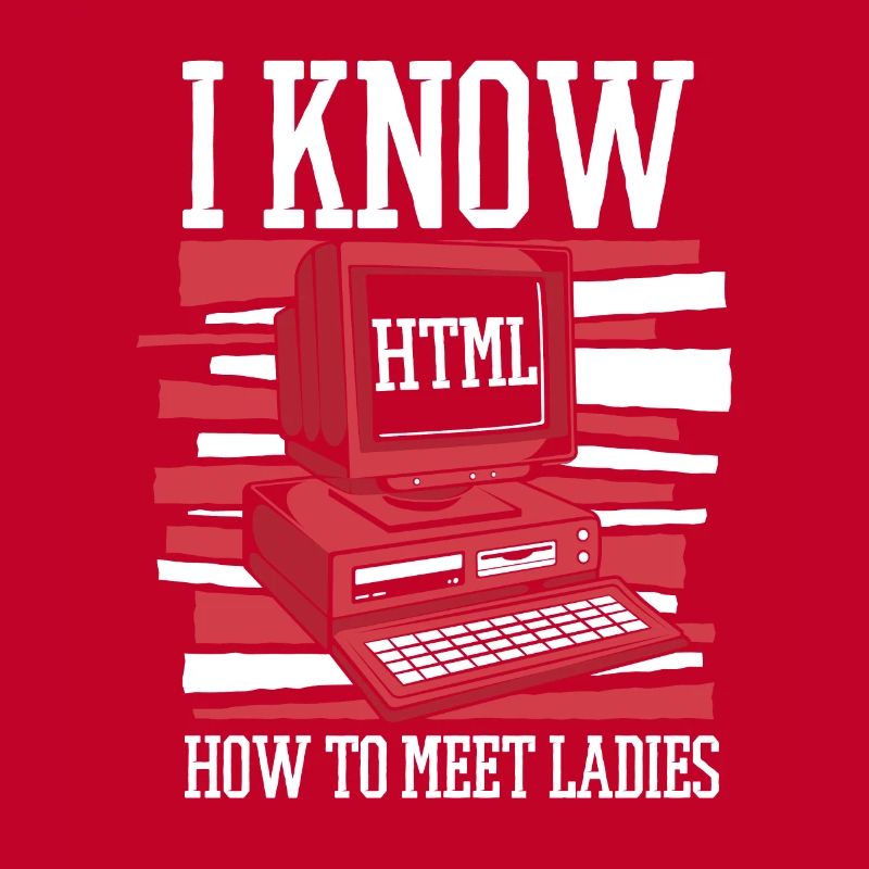 I Know Hot To Meet Ladies Developer Coder