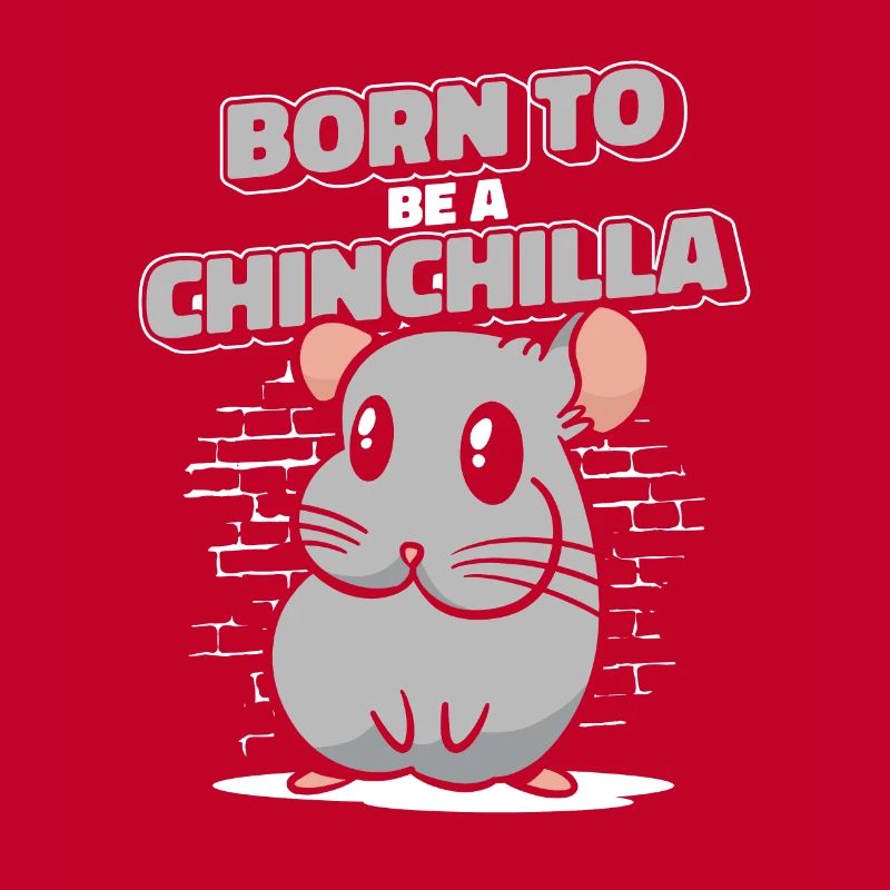 Né pour être un chinchilla à queue courte longue queue