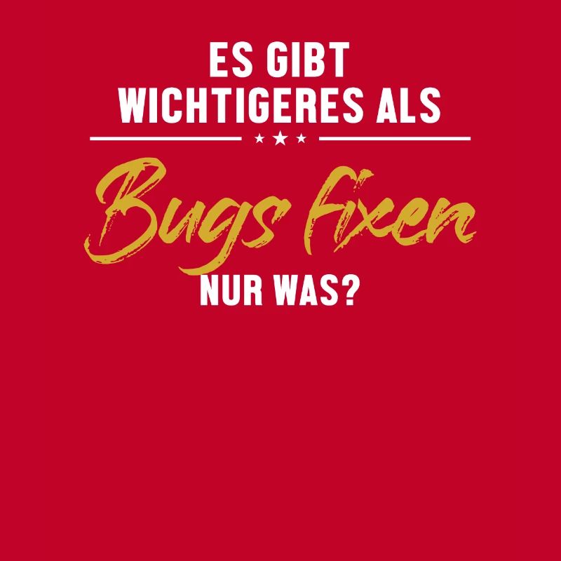Wichtigeres als Bugs Fixen Developer Coder