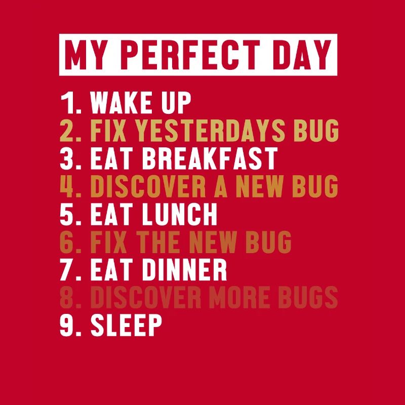 Correction de bugs Perfect Day Développeur Codeur Programmeur