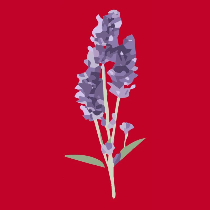 lavender