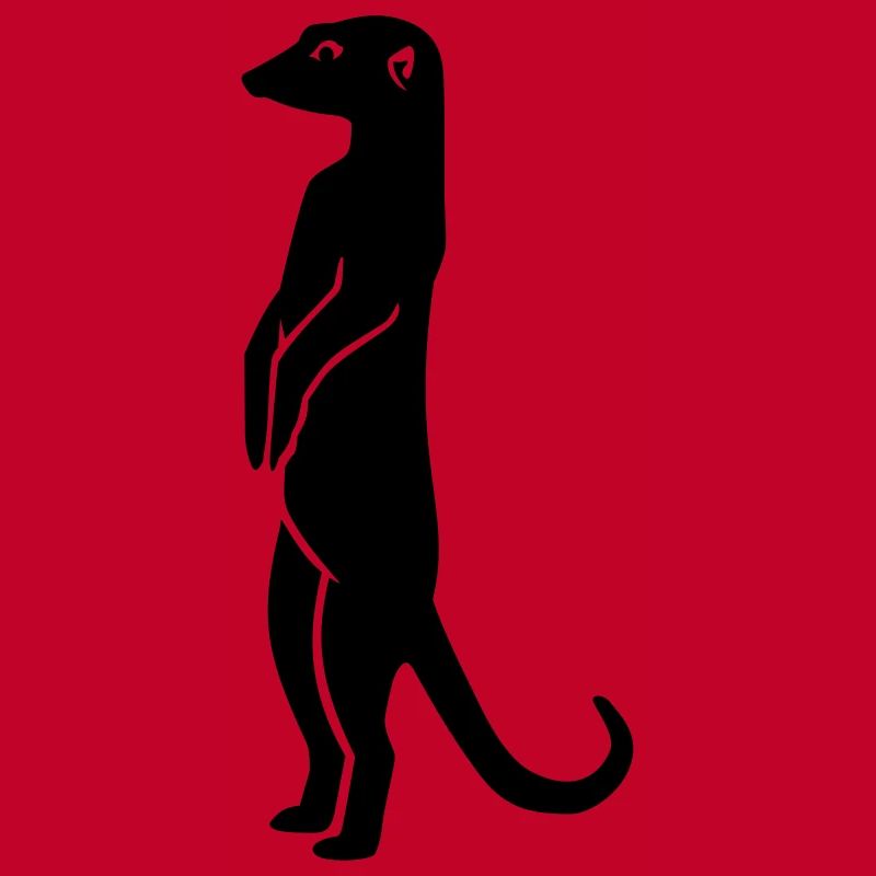 Erdmännchen