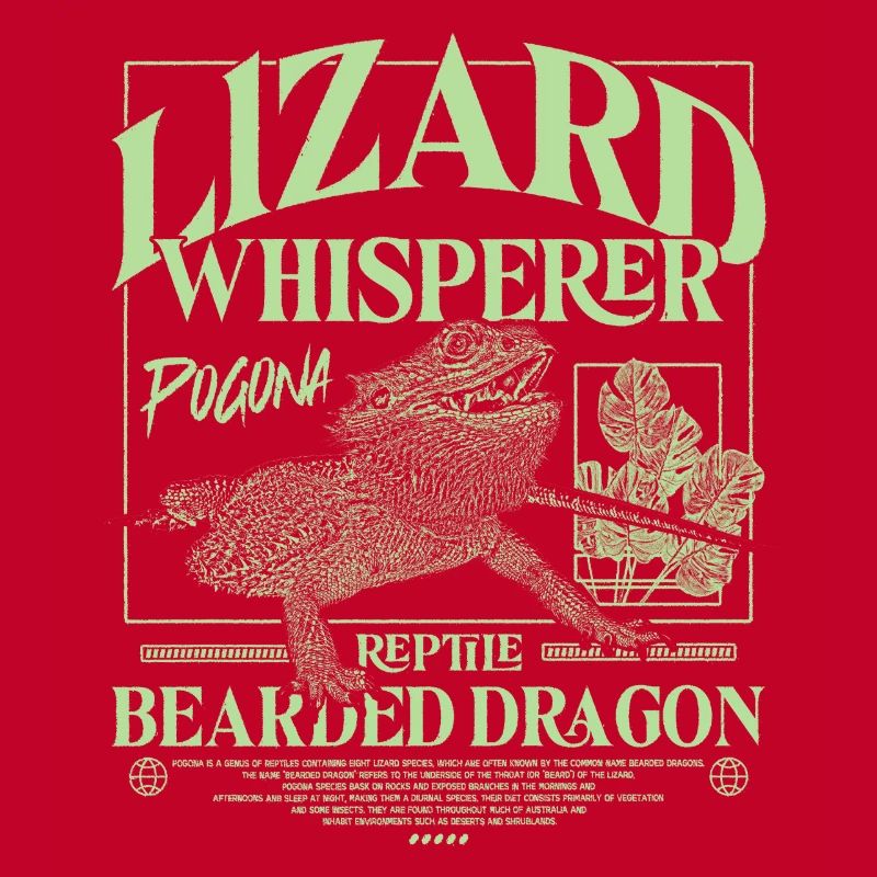 Bartagame Bartagamen Echsenflüsterer