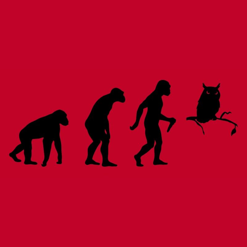 Owl Evolution