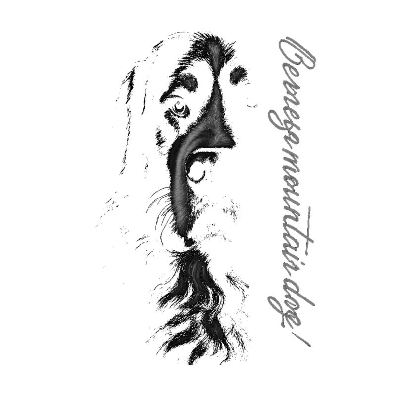 Berner Sennenhund