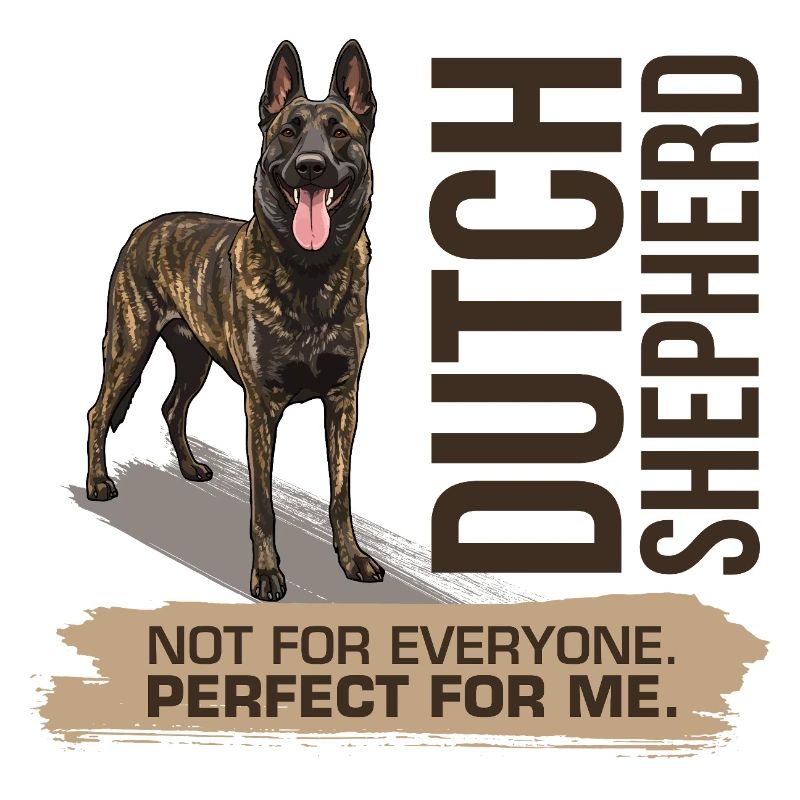 Dutch Shepherd - Dutchie 