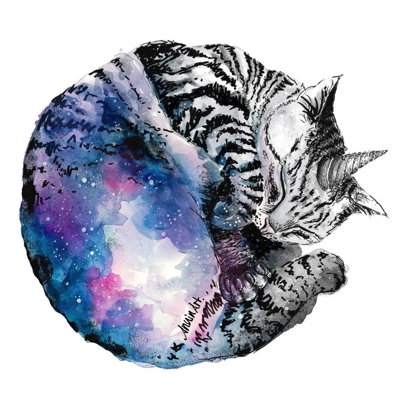 Galaxy einkorn cat small