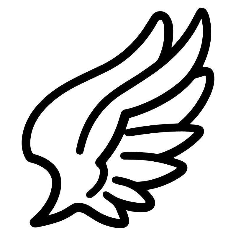 Ailes d'ange