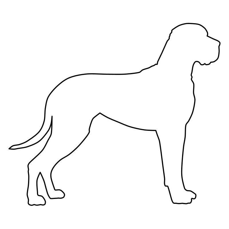 Great Dane Contours 1