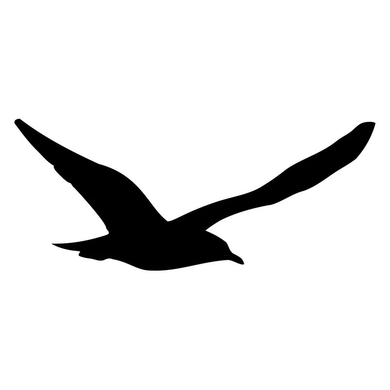 Möwe