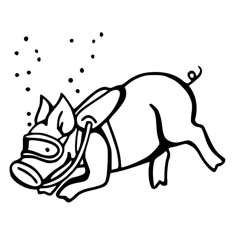 taucher schwein