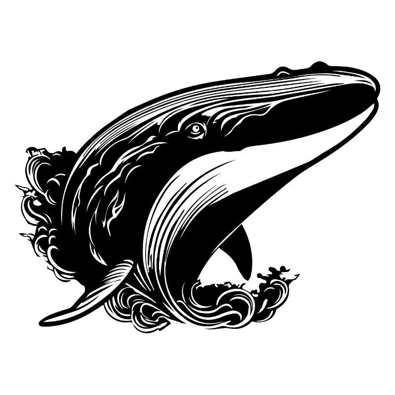 Baleine Poisson de mer