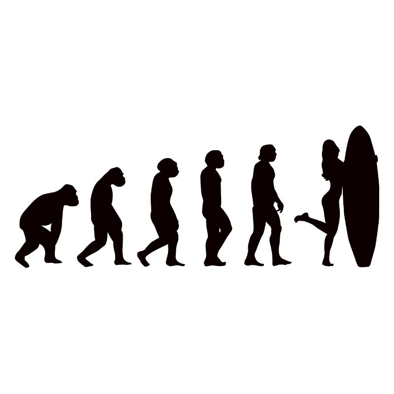 Surfer Surfboard Surfing Evolution Surfing
