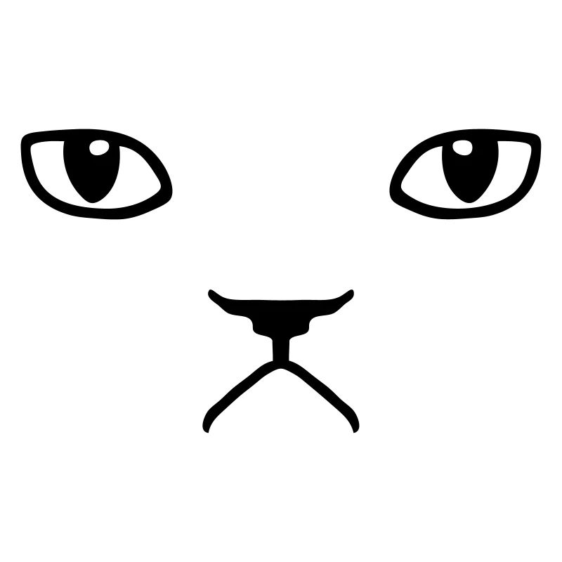 chat pas content grumpy kitty cat