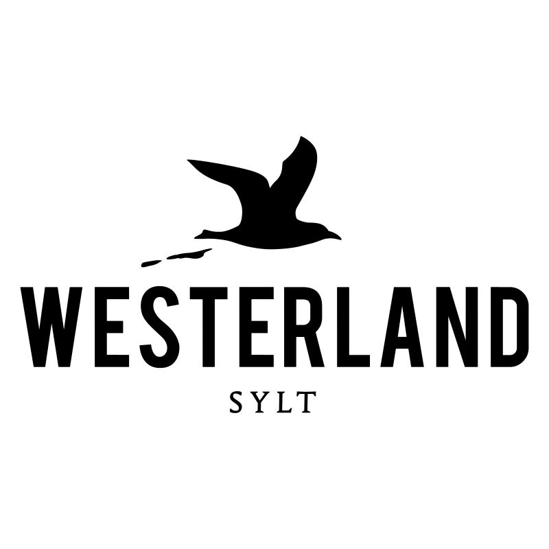 Möwe Westerland Sylt