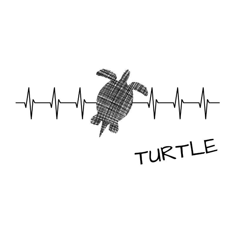 Turtle Schildkröte