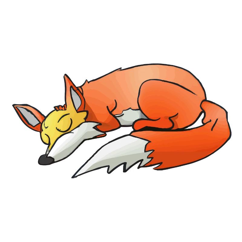 Sleeping Fox Sleeping Shirt Fox Lover