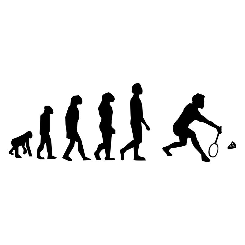 badminton évolution