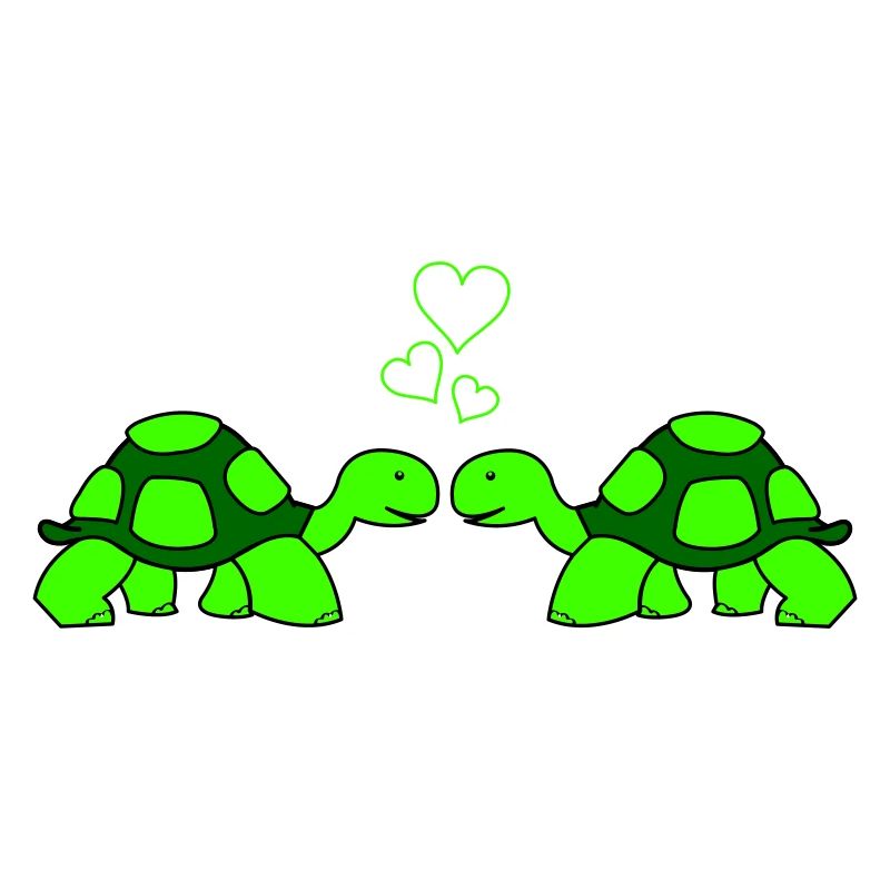 Turtle Love