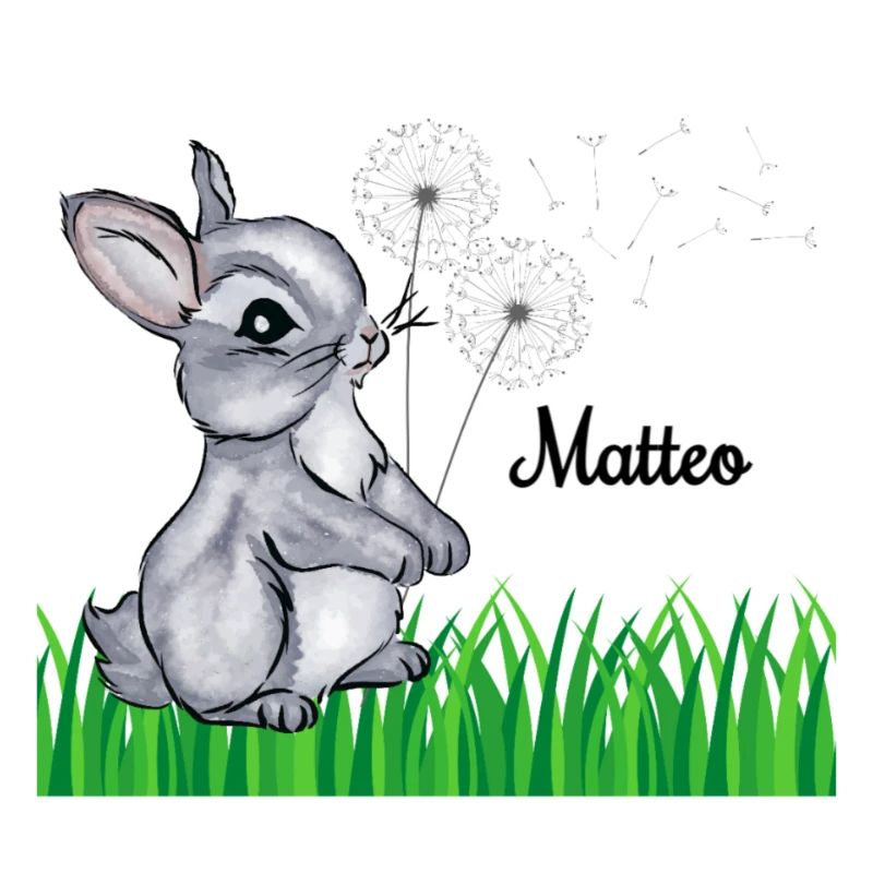 Rabbit Name Gift Matteo